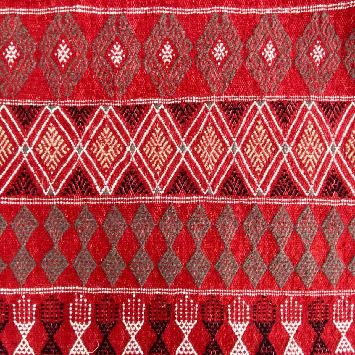 Alfombra bereber Alfombra Margoum Delaali 195x308 cm Rojo (Hecho a mano, Lana) Alfombra margoum tunecina de la ciudad de Kairoua