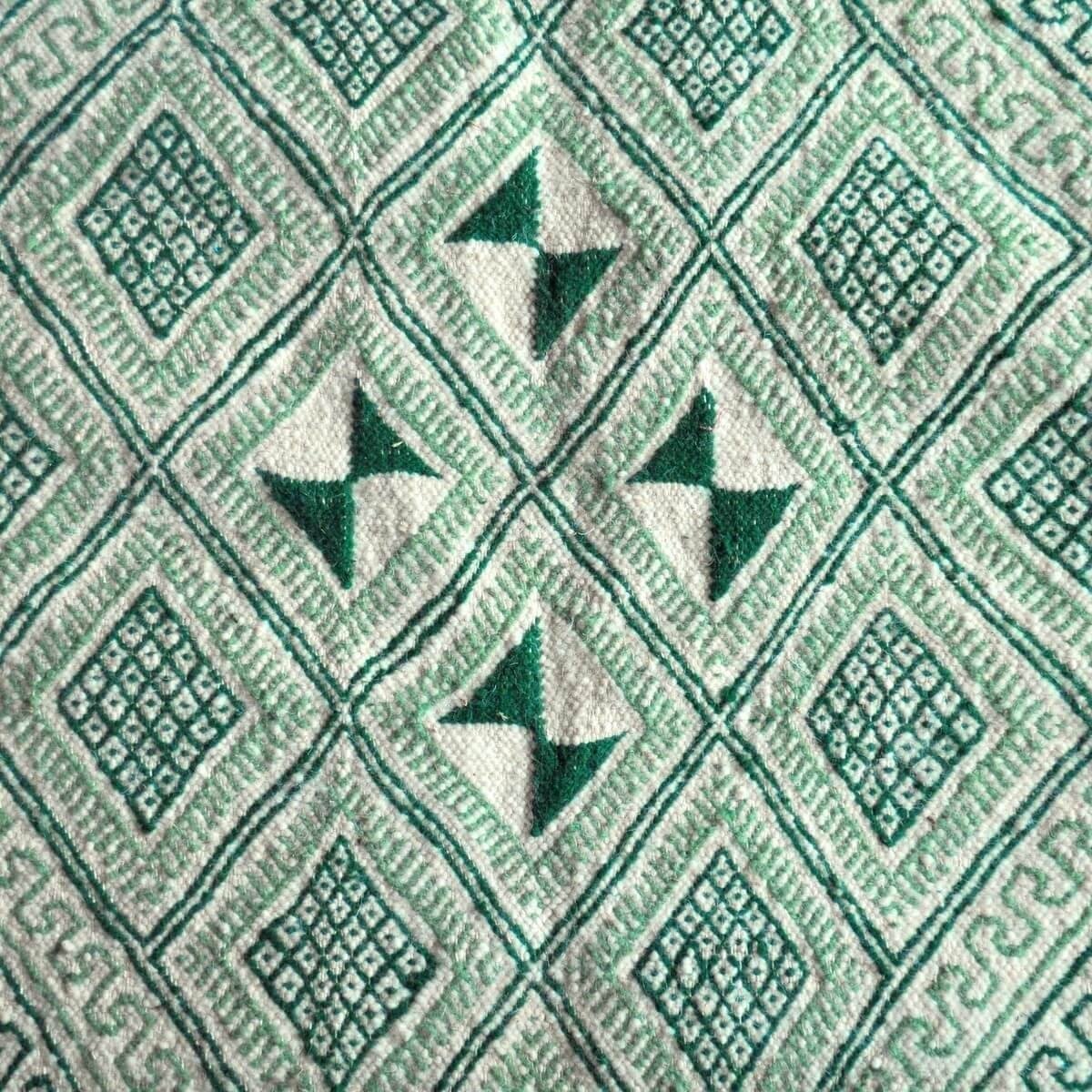 Berber carpet Rug Margoum Zembra 120x190 Green/White (Handmade, Wool, Tunisia) Tunisian margoum rug from the city of Kairouan. R